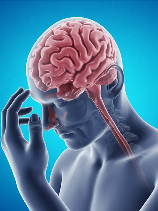 Types of Traumatic Brain Injuries