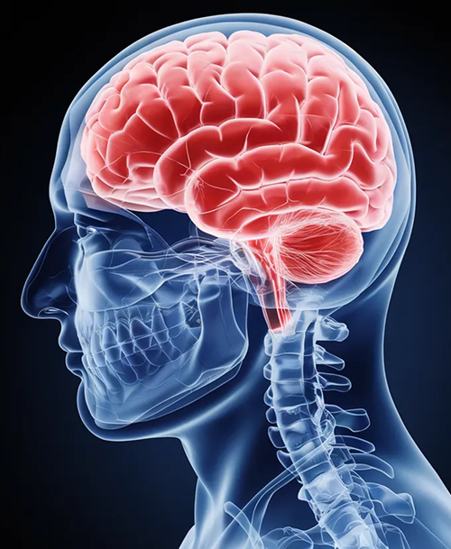 Personal Injury Cases We Handle in San Francisco Traumatic Brain Injury