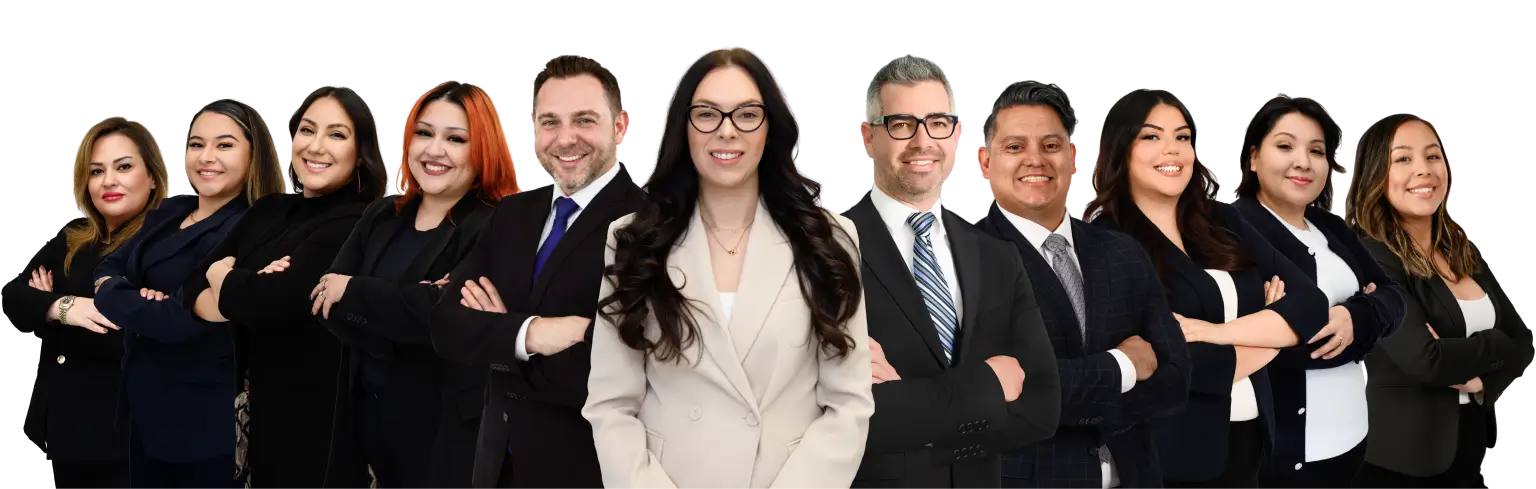 Dog Bite Accident Personal Injury Attorneys