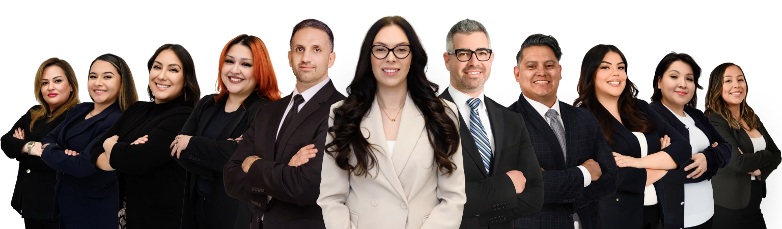 Dog Bite Accident Personal Injury Attorneys