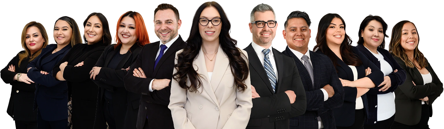 Dog Bite Accident Personal Injury Attorneys