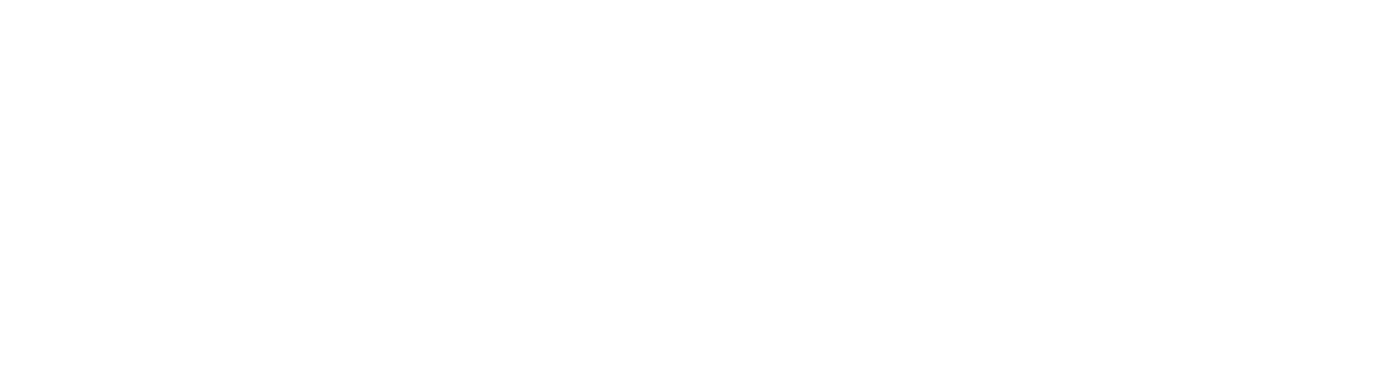 Braff Law Firm
