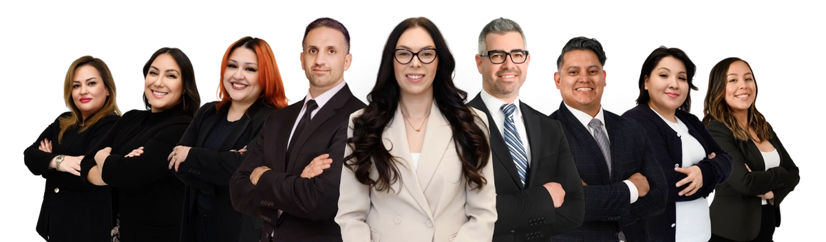 Dog Bite Accident Personal Injury Attorneys